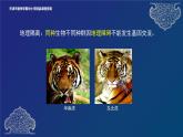 2024-2025学年高一生物教学课件 物种的形成、协同进化与生物多样性的形成