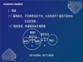 2024-2025学年高一生物教学课件 物种的形成、协同进化与生物多样性的形成