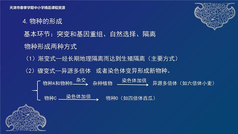 2024-2025学年高一生物教学课件 物种的形成、协同进化与生物多样性的形成08