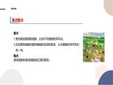 2024-2025学年高一生物学必修1（人教版）上课课件 第1章- 第2节 细胞的多样性和统一性