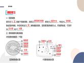 2024-2025学年高一生物学必修1（人教版）上课课件 第1章- 第2节 细胞的多样性和统一性