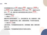 2024-2025学年高一生物学必修1（人教版）上课课件 第1章- 第2节 细胞的多样性和统一性
