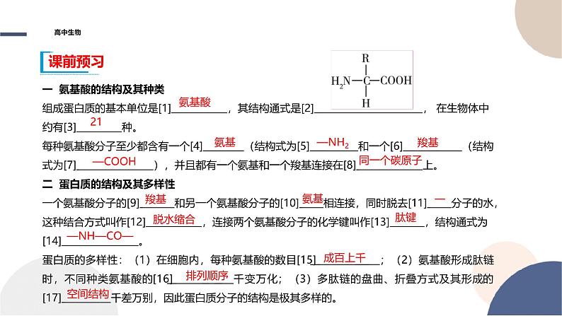 2024-2025学年高一生物学必修1（人教版）上课课件 第2章- 第4节 蛋白质是生命活动的主要承担者04