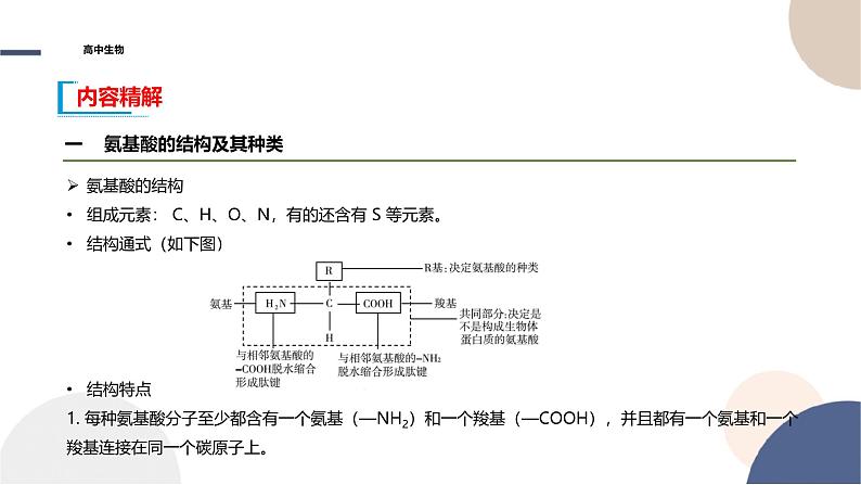 2024-2025学年高一生物学必修1（人教版）上课课件 第2章- 第4节 蛋白质是生命活动的主要承担者07