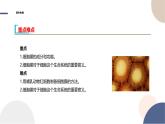 2024-2025学年高一生物学必修1（人教版）上课课件 第3章- 第1节 细胞膜的结构和功能