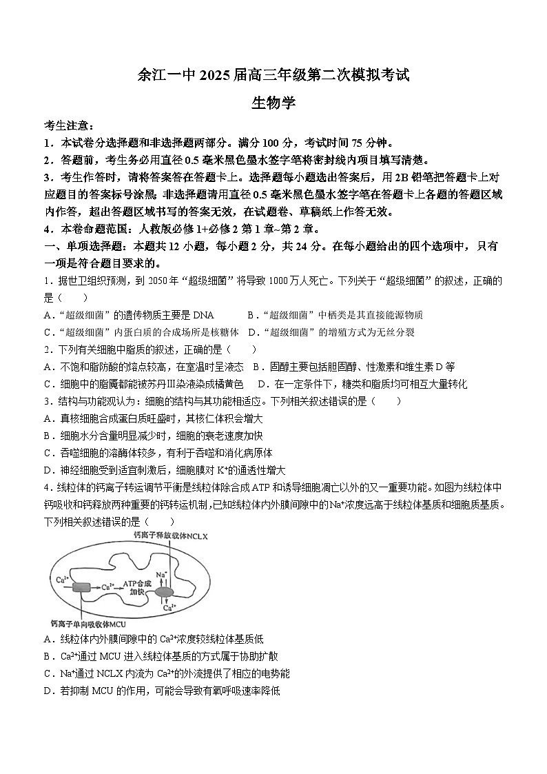 江西省鹰潭市余江区鹰潭市余江区第一中学2024-2025学年高三上学期10月月考生物试题第1页