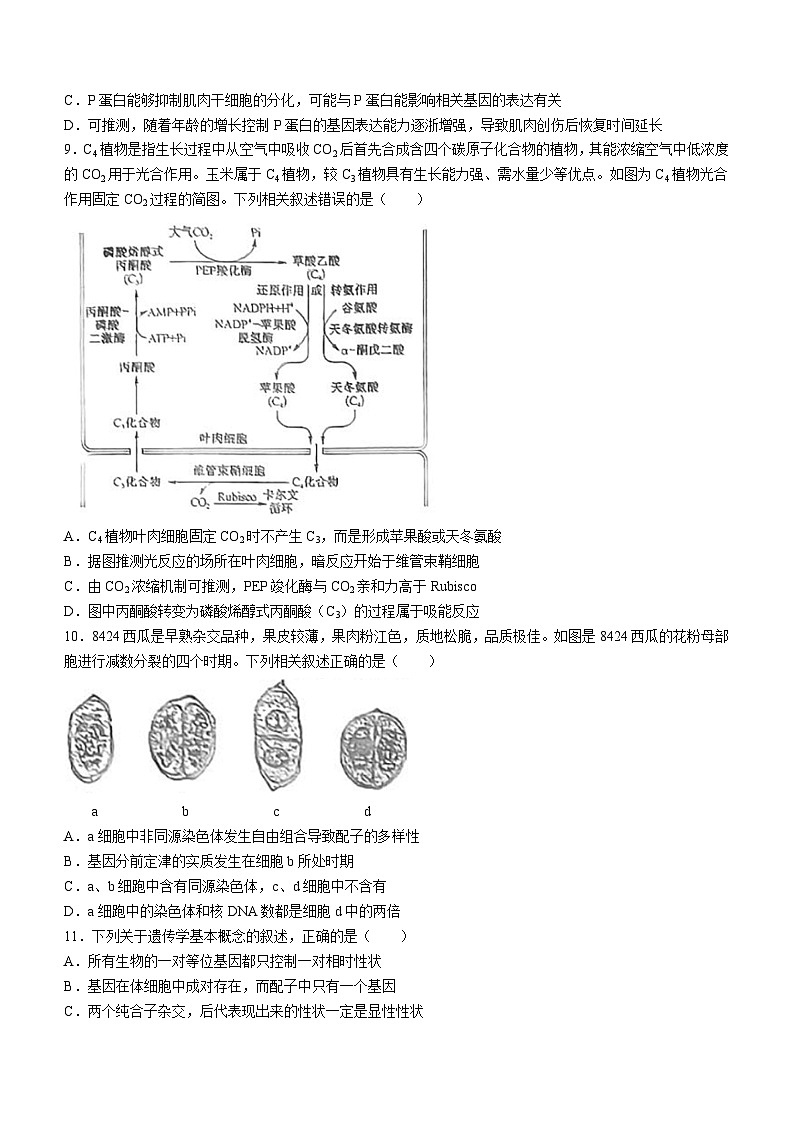 江西省鹰潭市余江区鹰潭市余江区第一中学2024-2025学年高三上学期10月月考生物试题第3页