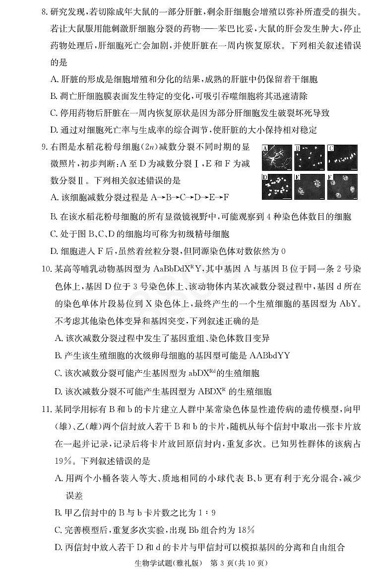 2024雅礼高三第二次月考生物试卷第3页