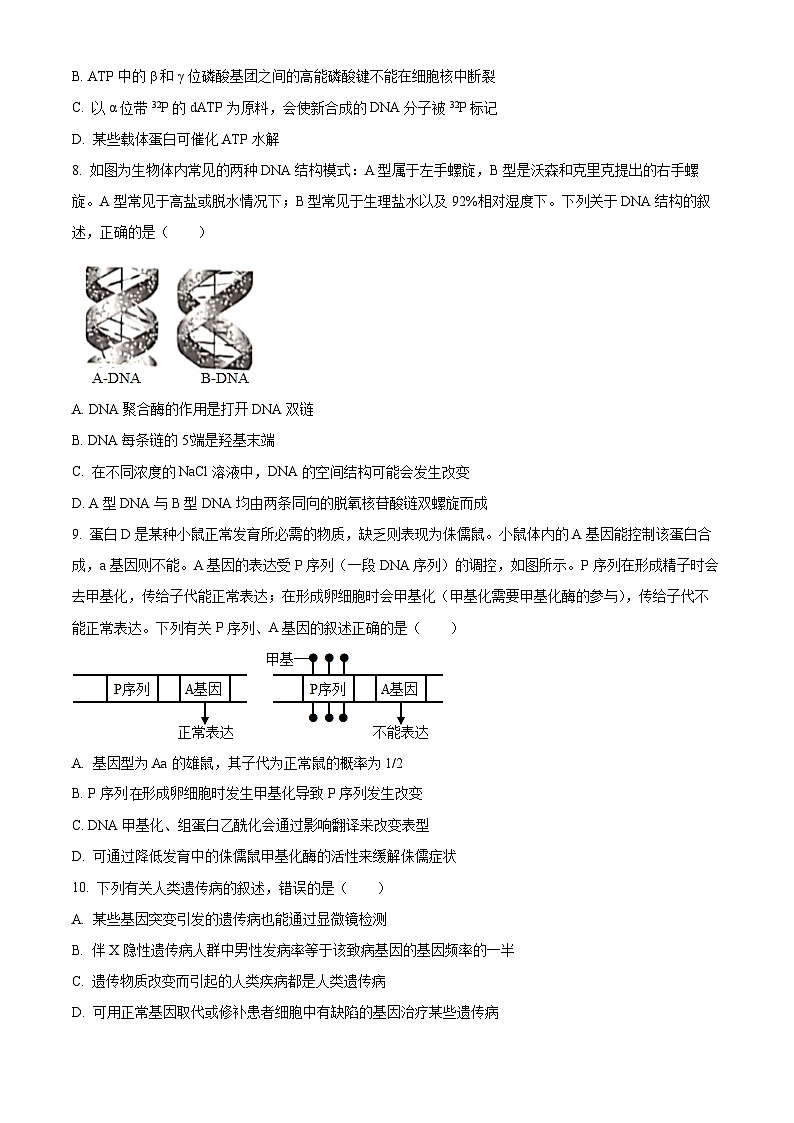 湖南省长沙市长郡中学2025届高三上学期第二次月考生物试题 Word版无答案第3页