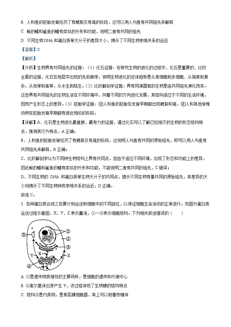 湖南省岳阳市临湘市2024-2025学年高一上学期9月月考生物试题 Word版含解析第3页