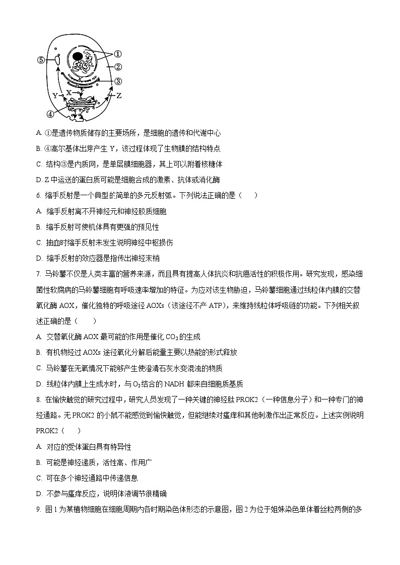 湖南省岳阳市临湘市2024-2025学年高一上学期9月月考生物试题 Word版无答案第2页