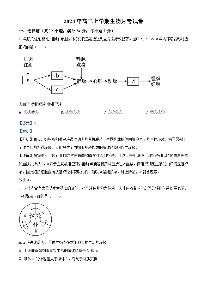 湖南省岳阳市临湘市2024-2025学年高二上学期9月月考生物试题（Word版附解析）01