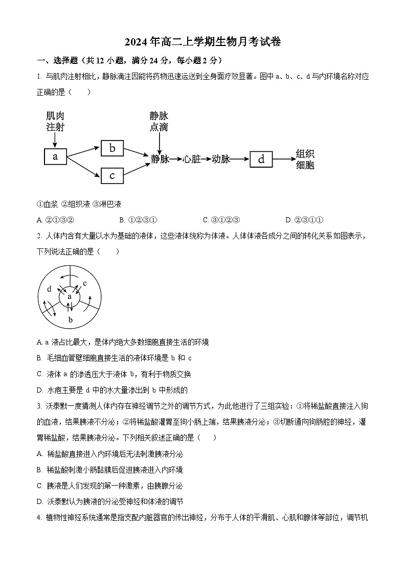 湖南省岳阳市临湘市2024-2025学年高二上学期9月月考生物试题（Word版附解析）01