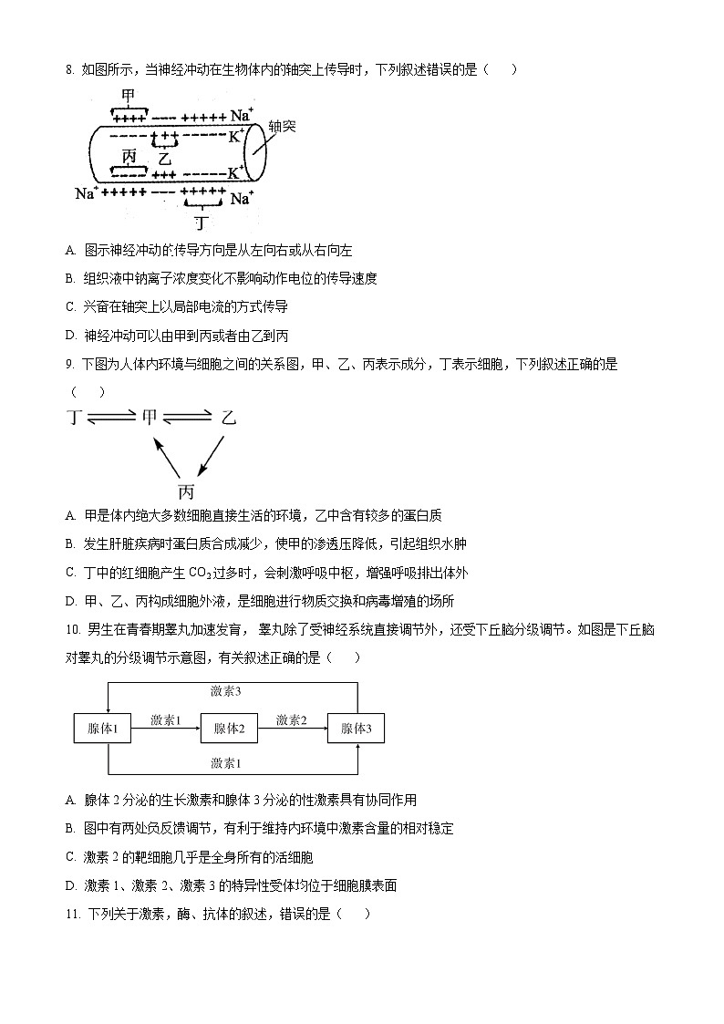 湖南省岳阳市临湘市2024-2025学年高二上学期9月月考生物试题（Word版附解析）03
