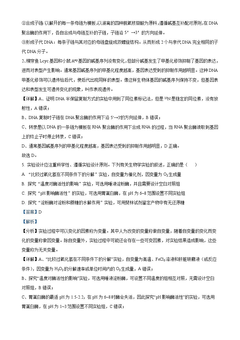 湖南省临湘市2025届高三上学期9月月考生物试题 Word版含解析第3页