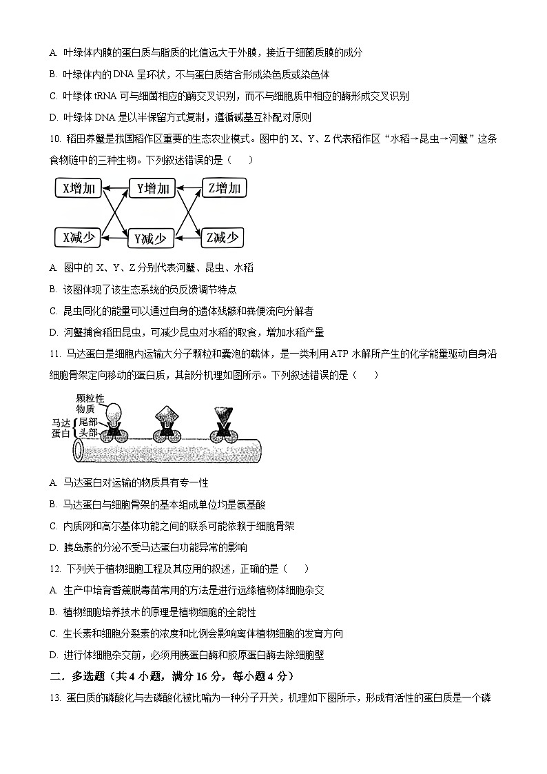 湖南省临湘市2025届高三上学期9月月考生物试题 Word版无答案第3页