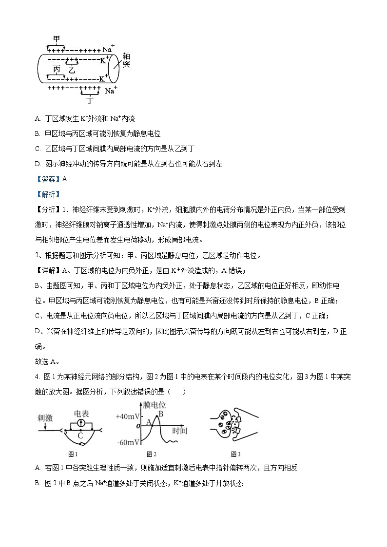 江苏省连云港市连云区连云港高级中学2024-2025学年高二上学期9月月考生物试题  Word版含解析第3页
