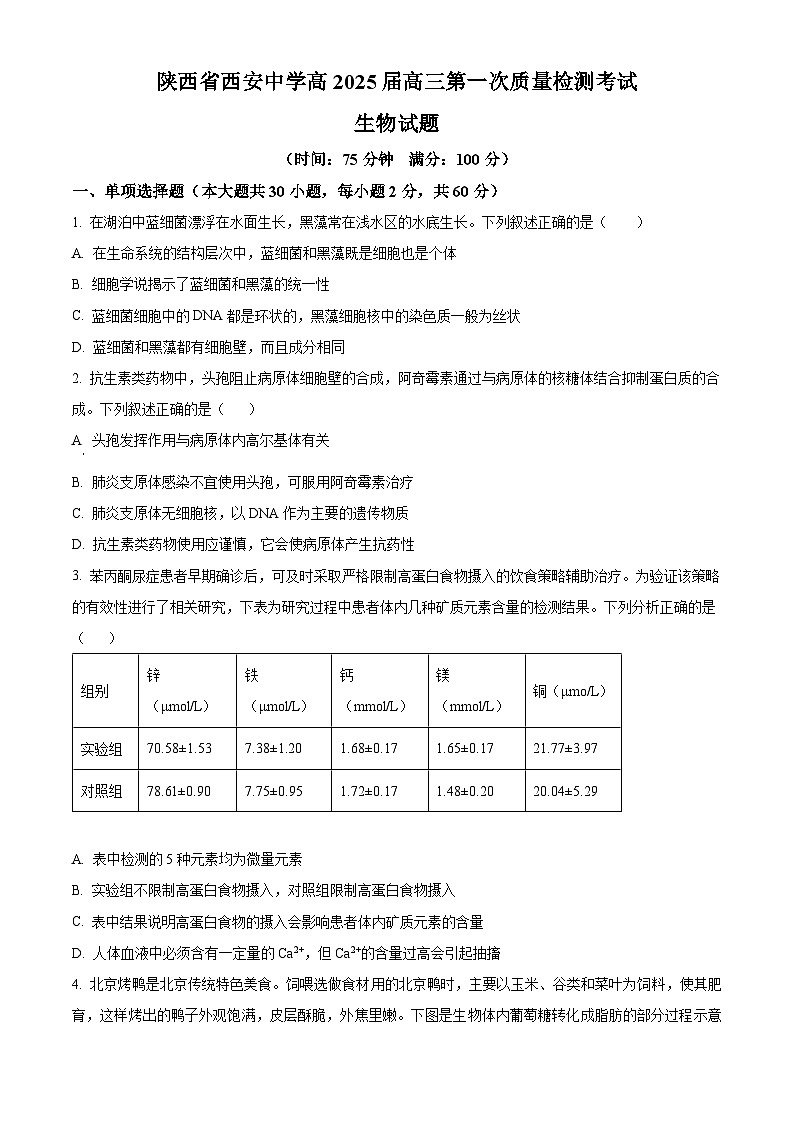 陕西省西安市西安中学2024-2025学年高三上学期10月月考生物试题  Word版无答案第1页