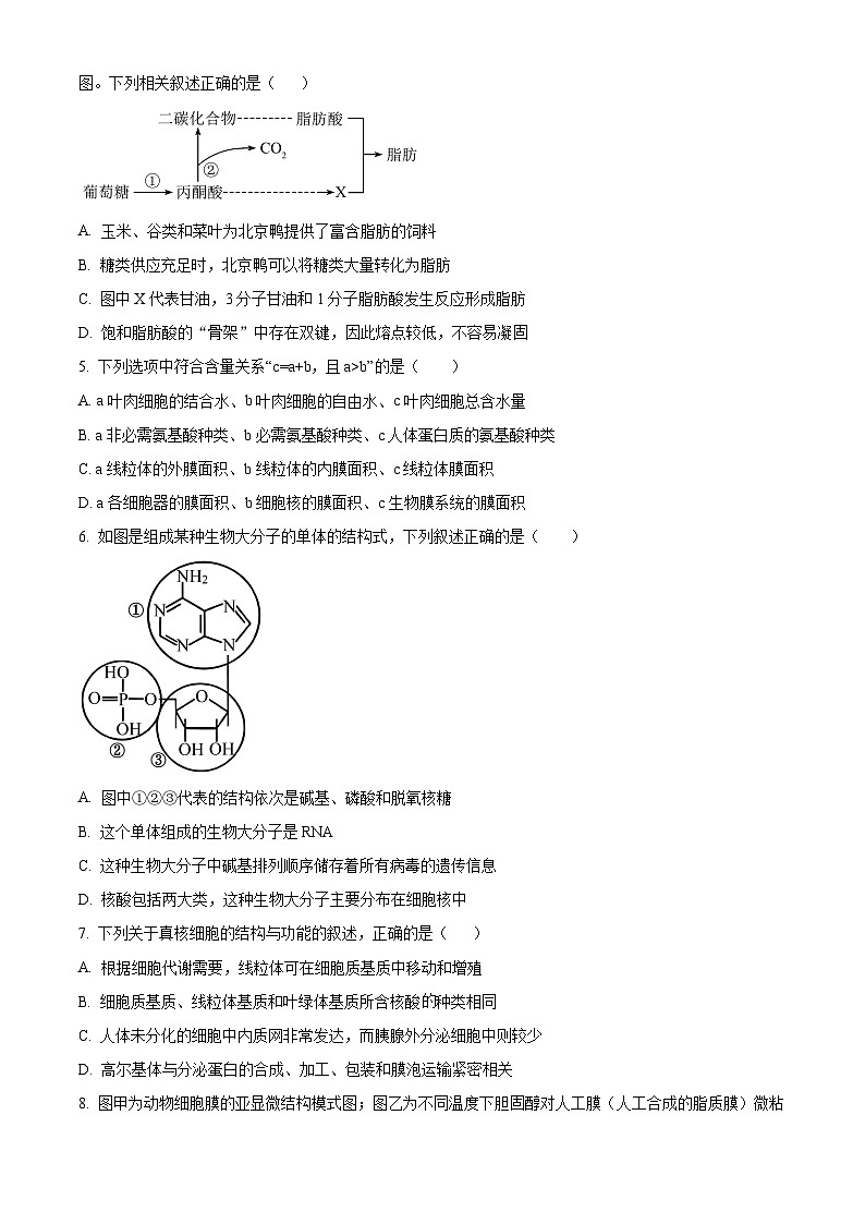 陕西省西安市西安中学2024-2025学年高三上学期10月月考生物试题  Word版无答案第2页