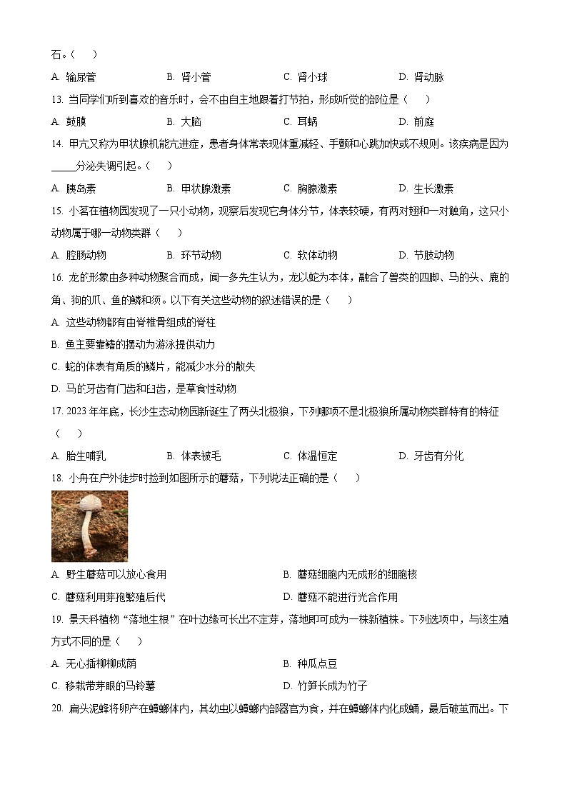 湖南省名校联盟2024-2025学年高一上学期新生开学联考生物试题（Word版附解析）03