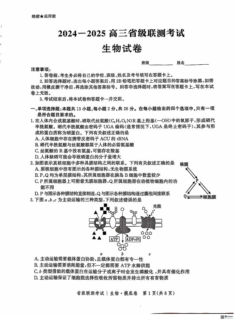 河北省2025届高三上学期省级联测考试生物试题（扫描版附解析）01