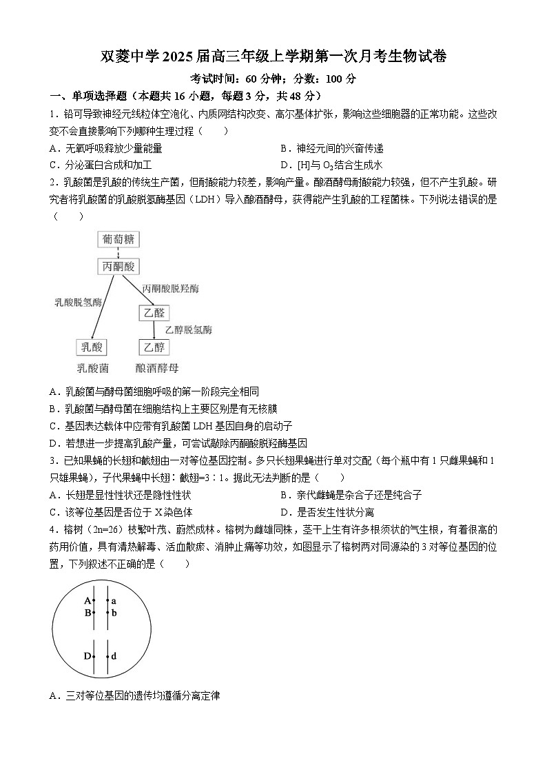 天津市和平区双菱中学2024-2025学年高三上学期10月第一次月考生物试题01