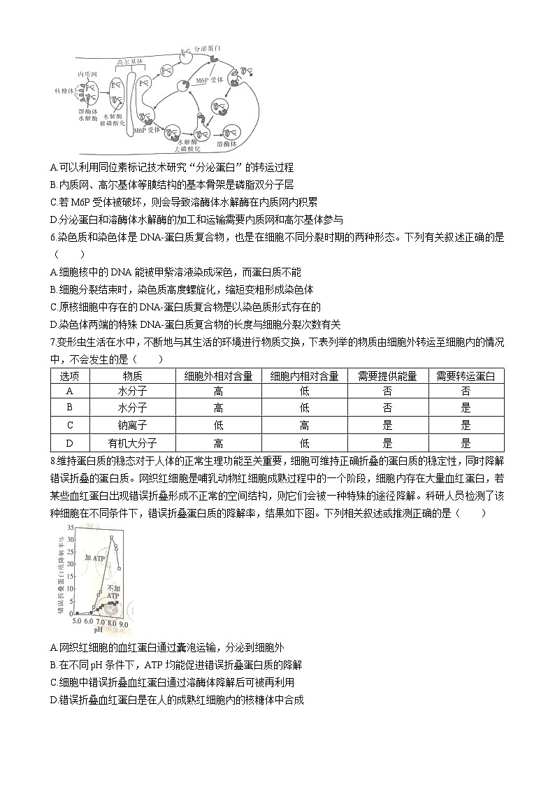 江西省2024-2025学年高三上学期10月联考生物试题(无答案)第2页