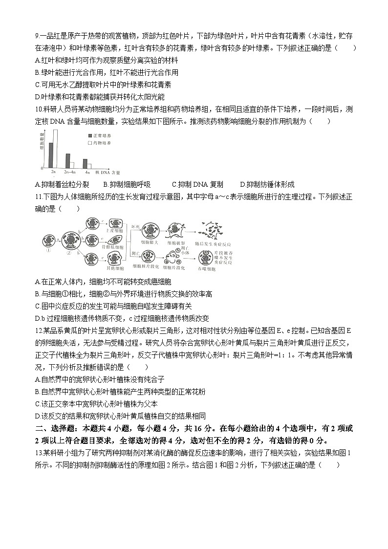 江西省2024-2025学年高三上学期10月联考生物试题(无答案)第3页