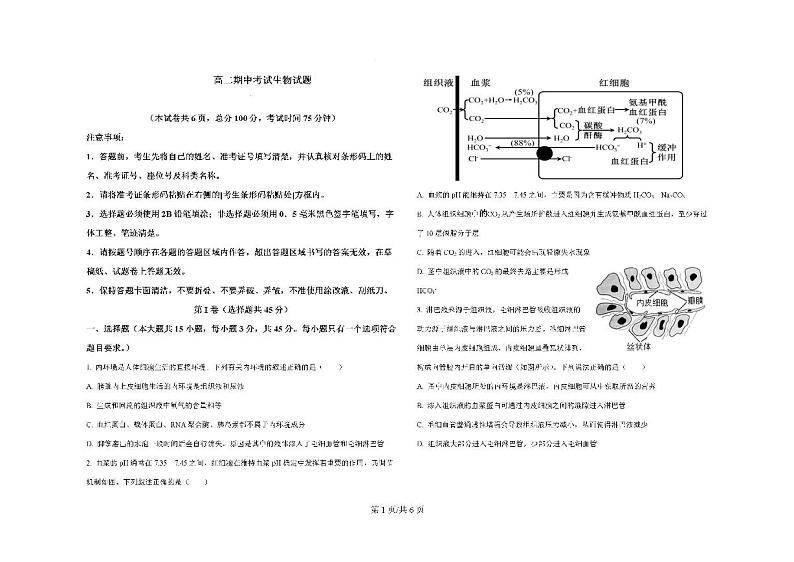 四川省眉山市仁寿县2023-2024学年高二上学期11月期中联考生物试题（PDF版附答案）第1页