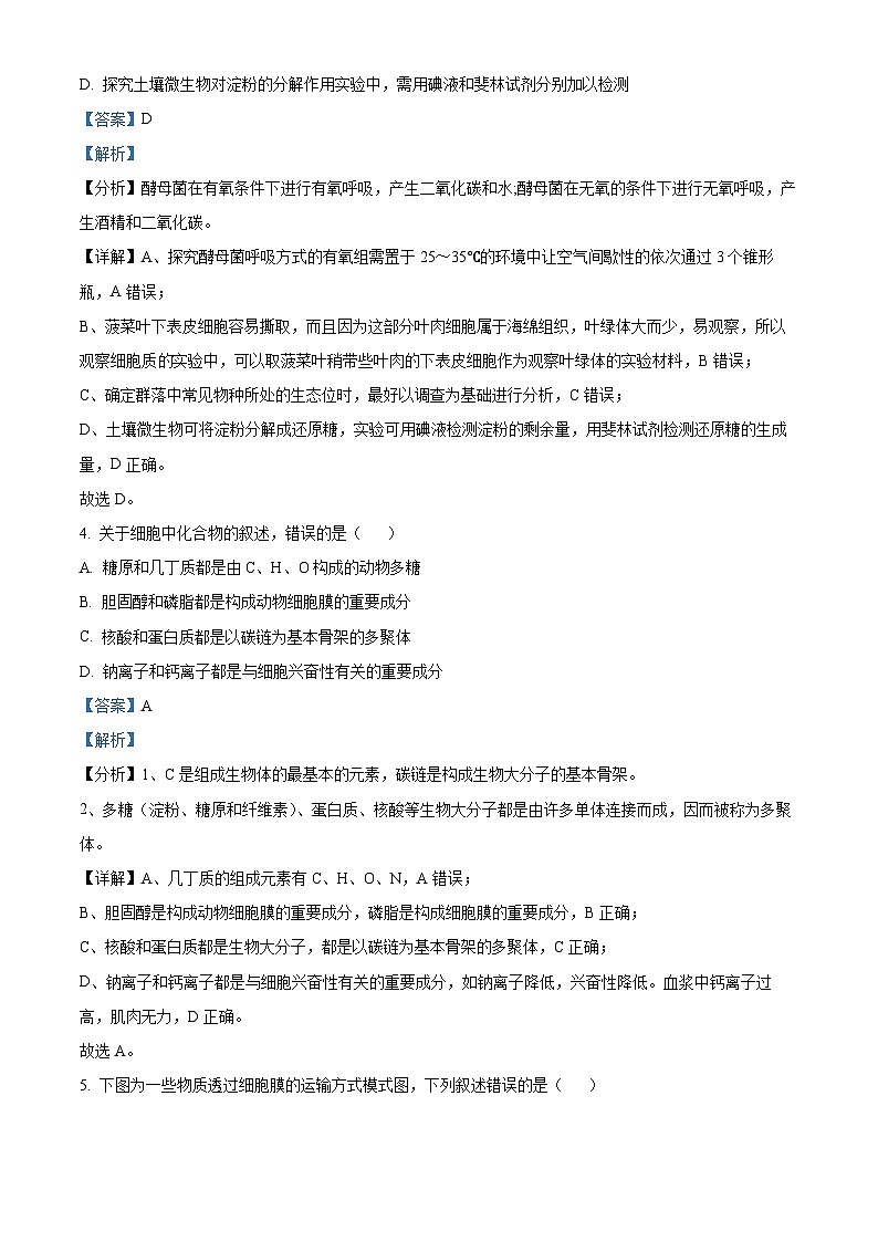 河北省衡水市2024-2025学年高三上学期9月第二次调研考试生物试题  Word版含解析第3页