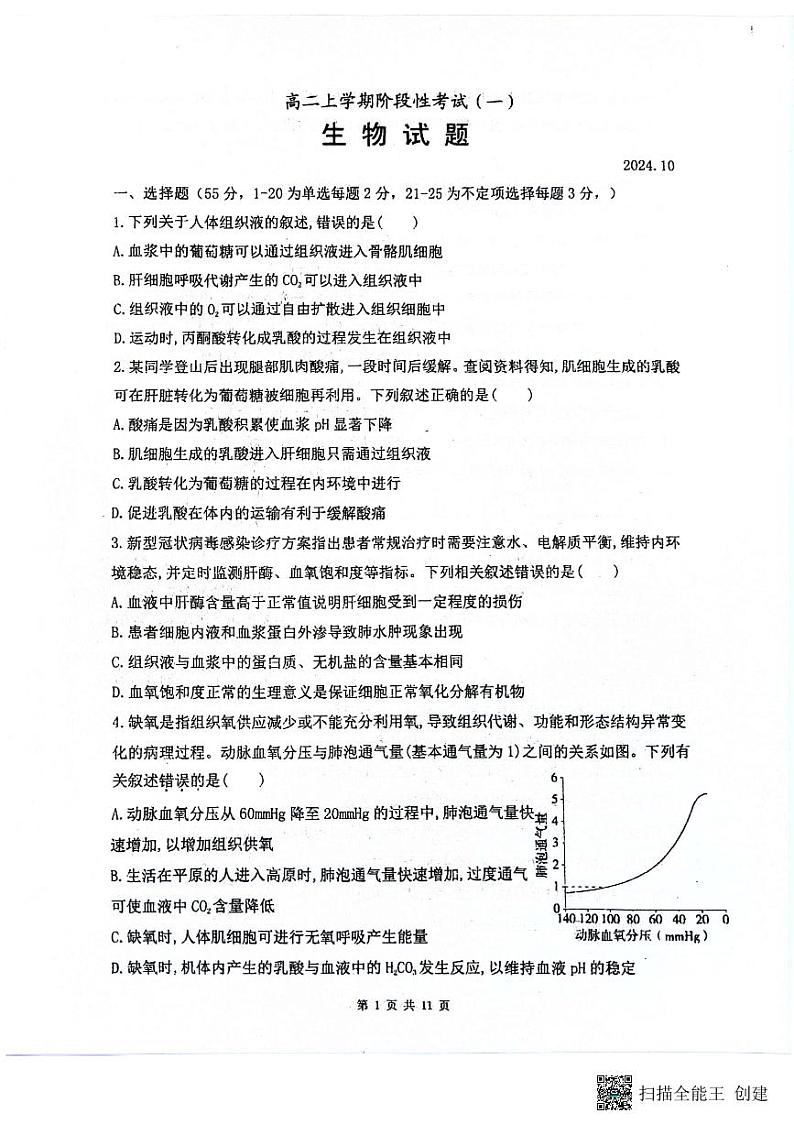 山东省泰安市宁阳县第一中学2024-2025学年高二上学期10月月考生物试题第1页