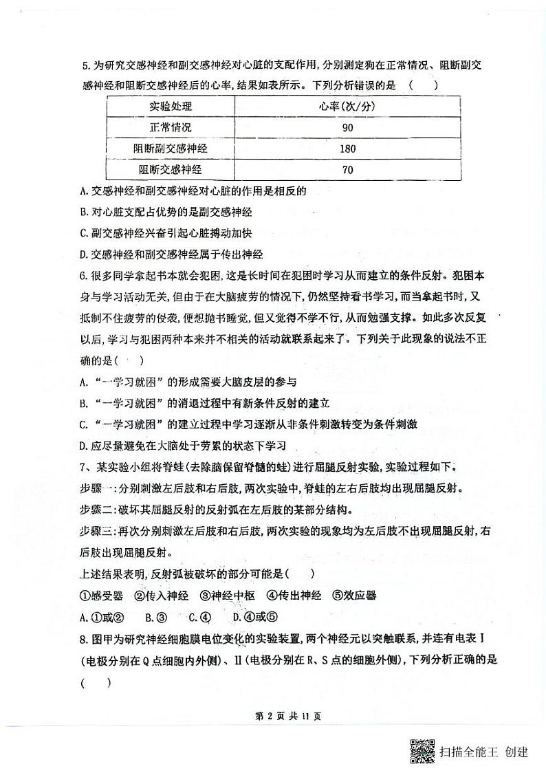 山东省泰安市宁阳县第一中学2024-2025学年高二上学期10月月考生物试题第2页