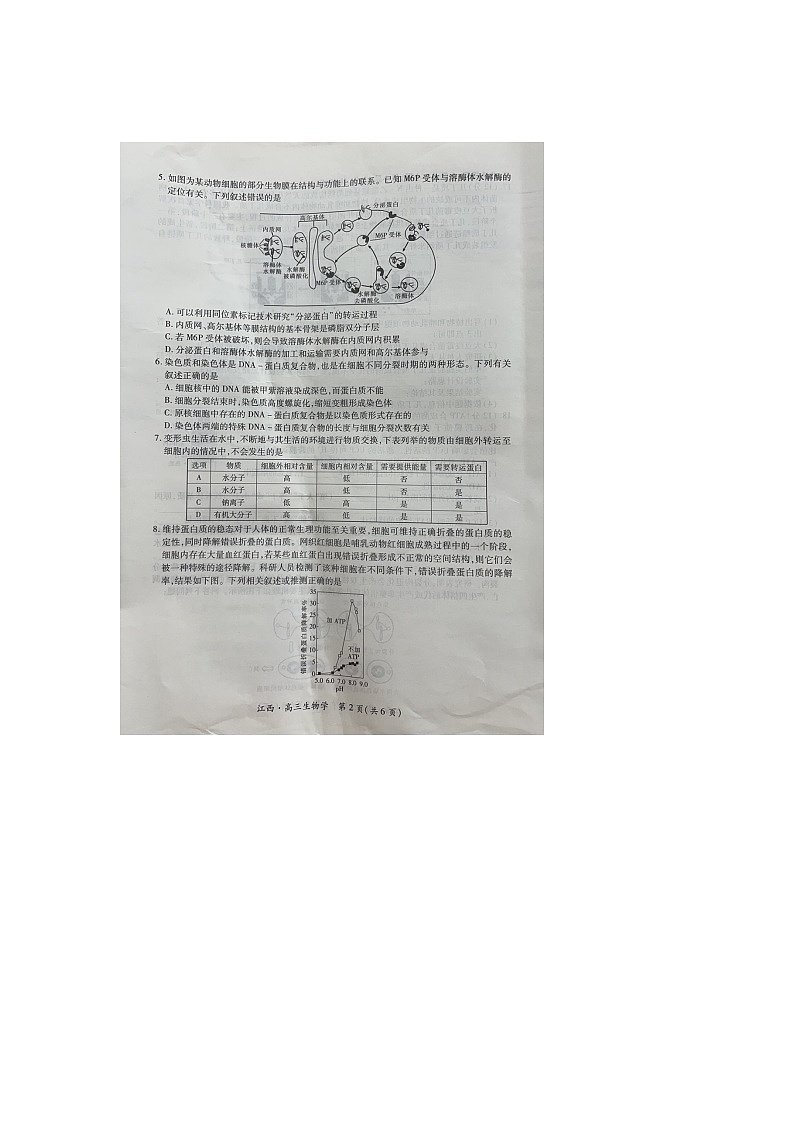 江西省部分学校2024-2025学年高三上学期10月联考生物试题第2页
