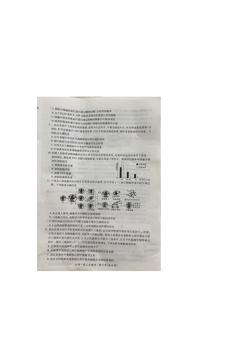 江西省部分学校2024-2025学年高三上学期10月联考生物试题第3页