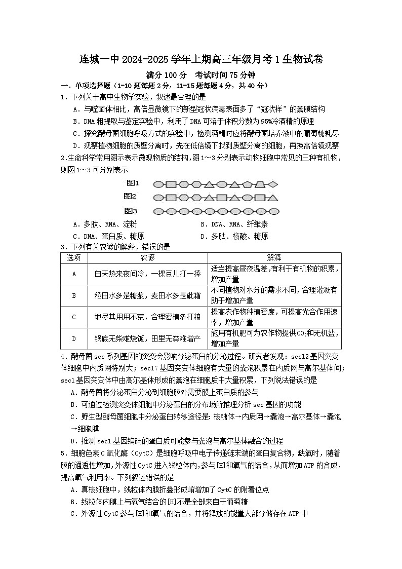 福建省龙岩市连城县第一中学2024-2025学年高三上学期10月月考生物试题第1页