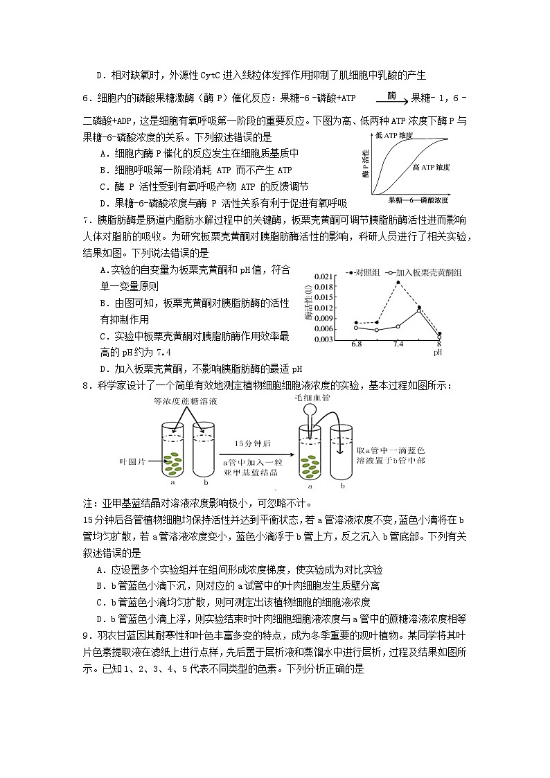 福建省龙岩市连城县第一中学2024-2025学年高三上学期10月月考生物试题第2页