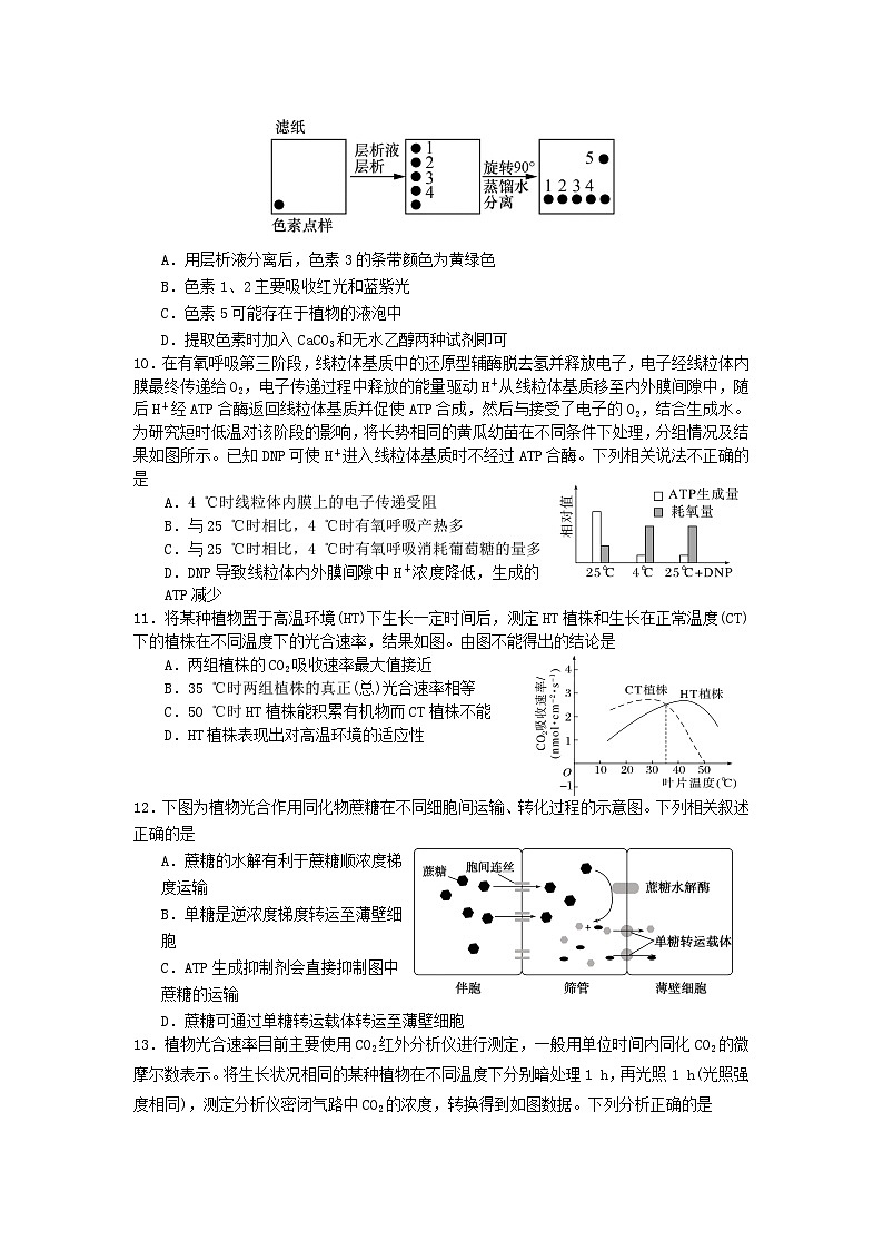 福建省龙岩市连城县第一中学2024-2025学年高三上学期10月月考生物试题第3页