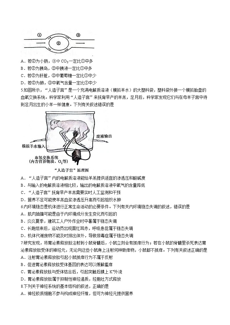 山西省运城市2024-2025学年高二上学期10月月考生物试题02