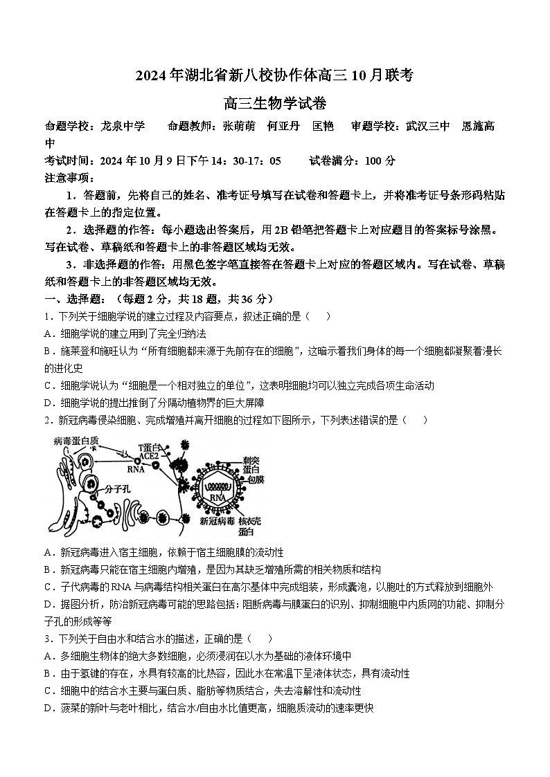2024届湖北省新八校协作体高三上学期10月联考生物试题第1页