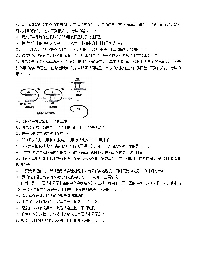2024届湖北省新八校协作体高三上学期10月联考生物试题第2页