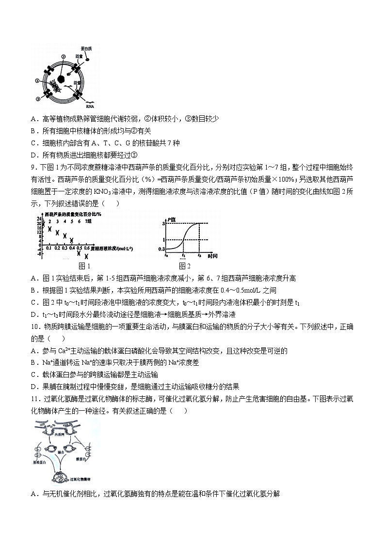 2024届湖北省新八校协作体高三上学期10月联考生物试题第3页