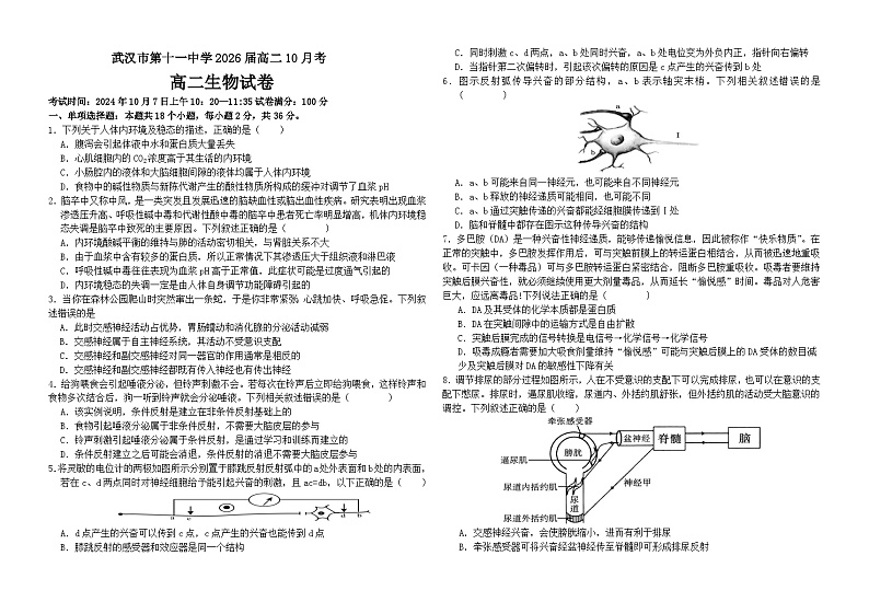 湖北省武汉市第十一中学2024-2025学年高二上学期10月月考生物试题第1页