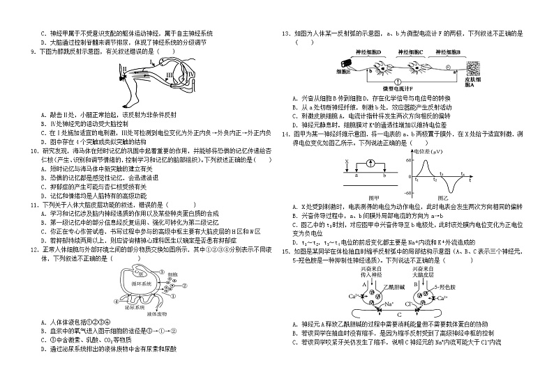 湖北省武汉市第十一中学2024-2025学年高二上学期10月月考生物试题第2页