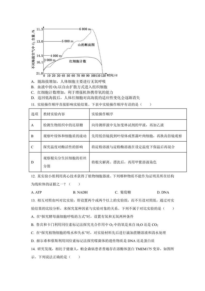 [生物]甘肃省天水市第二中学2024～2025学年高三上学期10月月考试题(有答案)第3页