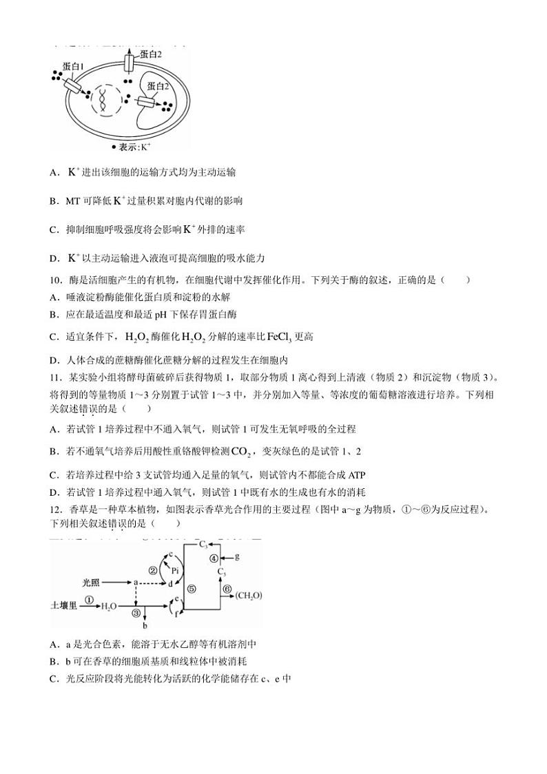[生物]吉林省白城市通榆县毓才高中2024～2025学年高三上学期第一次月考试卷(有答案)第3页