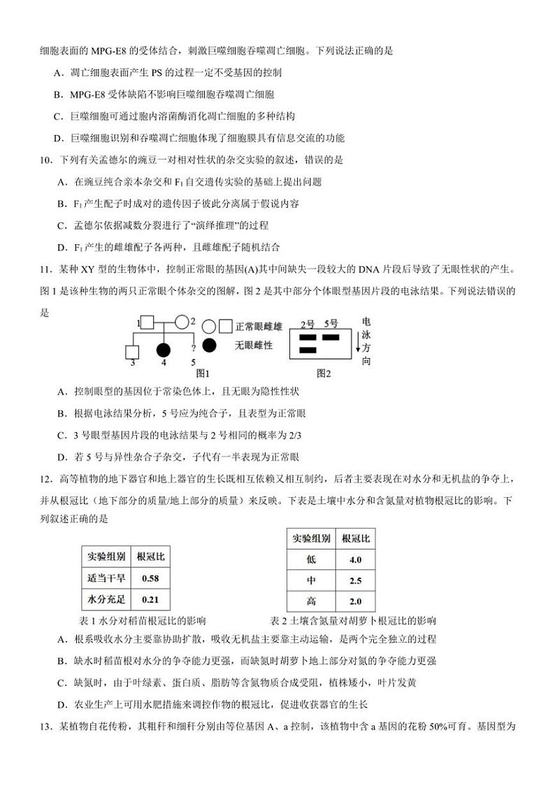 [生物]广东省佛山市顺德区高中第四联盟2024～2025学年高三上学期联考月考试题(有答案)第3页