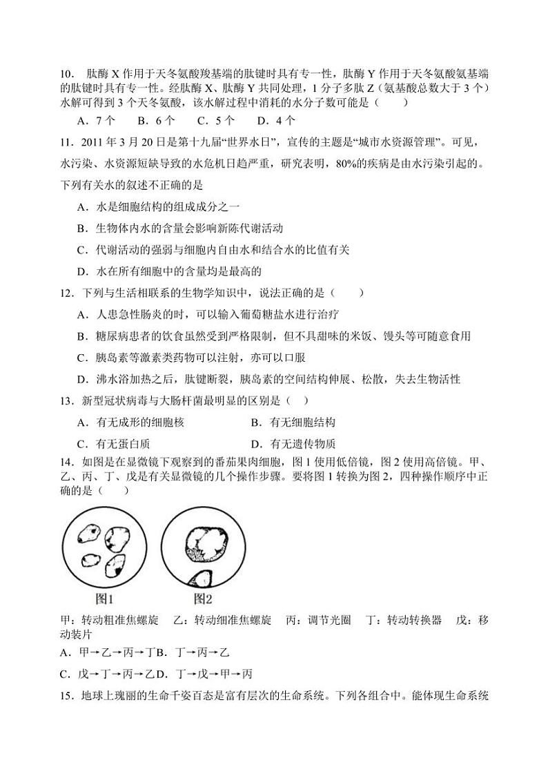 [生物]山东省泰安市新泰第一中学老校区(新泰中学)2024～2025学年高一上学期第一次适应训练月考试题(有答案)第3页
