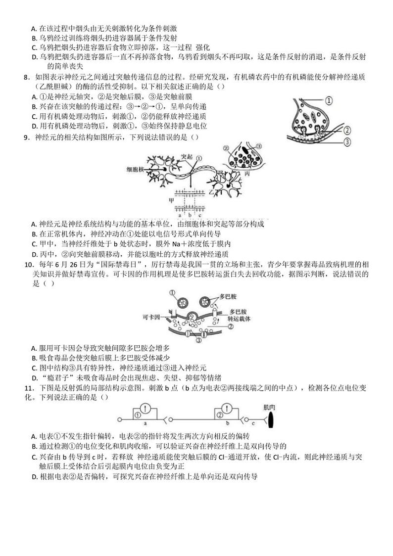 [生物]山东省淄博市高青县第一中学2024～2025学年高二上学期10月月考试题(有答案)第2页