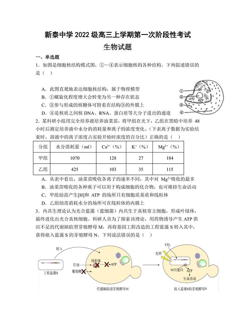 [生物]山东省泰安市新泰第一中学老校区(新泰中学)2024～2025学年高三上学期第一次适应训练月考试题(有答案)第1页