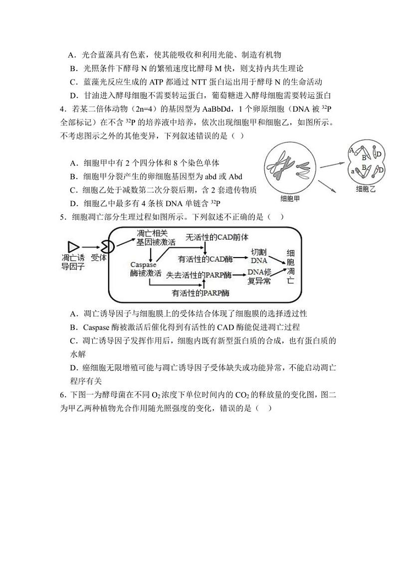 [生物]山东省泰安市新泰第一中学老校区(新泰中学)2024～2025学年高三上学期第一次适应训练月考试题(有答案)第2页
